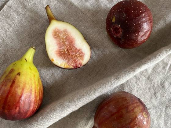 무화과는 9월이 제철로, 특유의 달콤한 맛과 부드러운 식감으로 사랑받는 과일이다. 사진 안미연