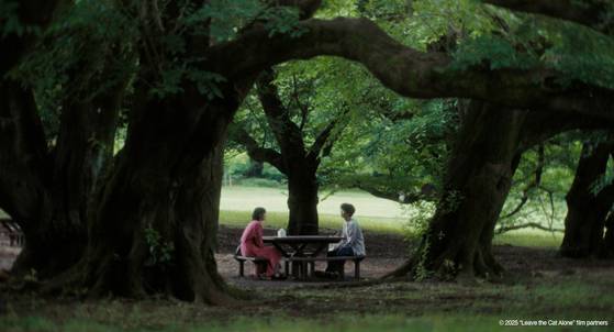 고양이를 놓아줘 / 시가야 다이스케 / 일본