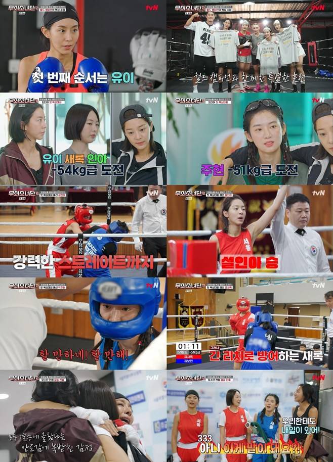 티브이데일리 포토