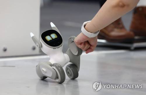 인간과 로봇의 교감     (서울=연합뉴스) 김인철 기자 = 28일 서울 강남구 코엑스에서 열린 제12회 스마트테크코리아 로보테크쇼-인공지능&빅테이터쇼에서 관람객이 반려로봇인 루나로봇과 소통하고 있다. 2023.6.28
    yatoya@yna.co.kr