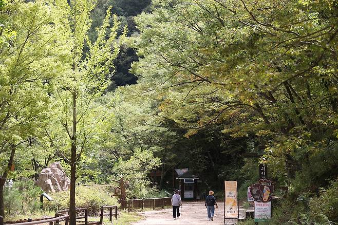 가을 준비 마친 주왕산 국립공원 (청송=연합뉴스) 박세진 기자 = 지난 11일 경북 청송군 주왕산 국립공원 주봉 방면 등산로에서 시민들이 걷고 있다. 2025.9.11 psjpsj@yna.co.kr