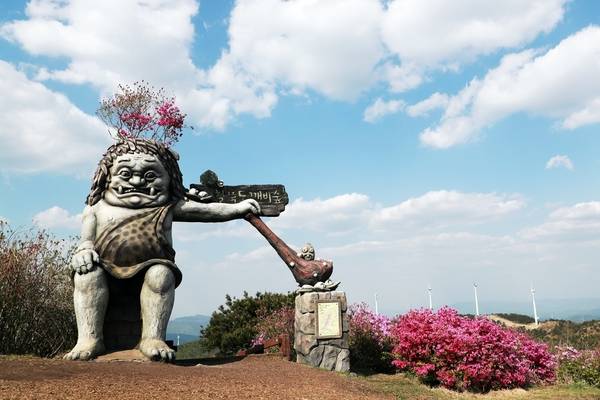 의령군 한우산도깨비숲. /의령군청