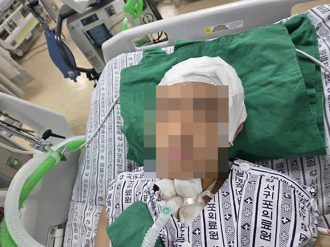 지난 3일 제55회 대통령배 복싱대회 경기 중 쓰러진 조연호 군은 열흘이 다됐으나 아직 의식을 찾지 못하고 있다. 사진=조연호 군 부모 제공