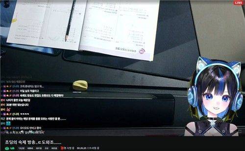 초등학생임을 내세우는 버튜버의 실제 스트리밍 방송 모습. 웹사이트 캡처 연합뉴스