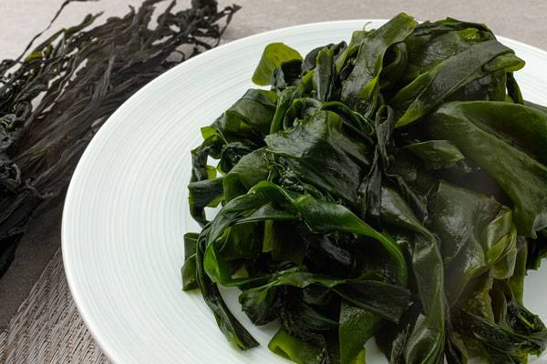 클립아트코리아