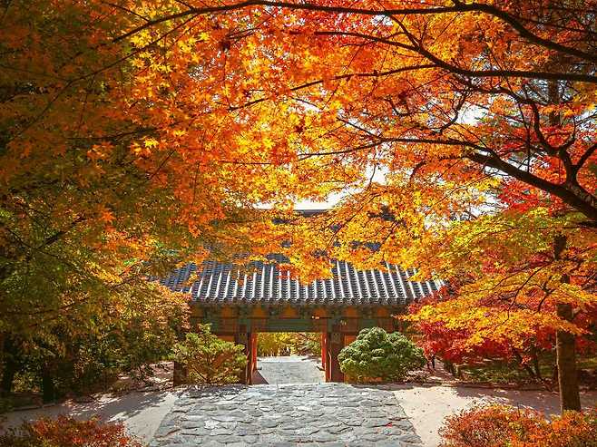 단풍물든 풍경이 매혹적인 부석사.