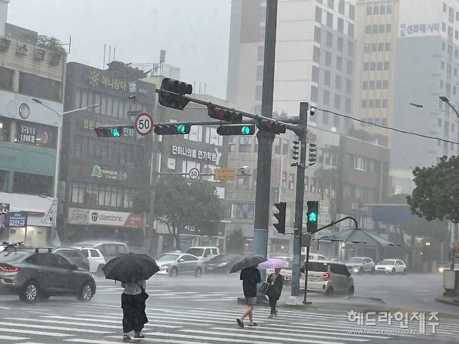 15일 오전 11시40분쯤, 강한 비가 쏟아져 내리고 있는 제주시내 거리.
