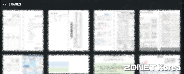 킬린이 공개한 토러스자산운용 내부 데이터로 추정되는 샘플 자료(모자이크). (사진=킬린 다크웹 사이트 캡처)