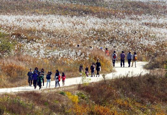 충주 관광의 대표적 명소인 비내섬. 사진=충주시 제공
