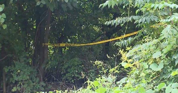 ⓒYTN 뉴스 갈무리