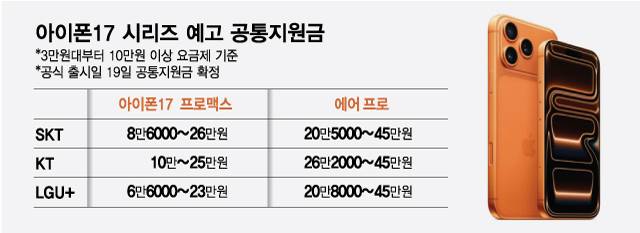 /그래픽=최헌정 디자인 기자