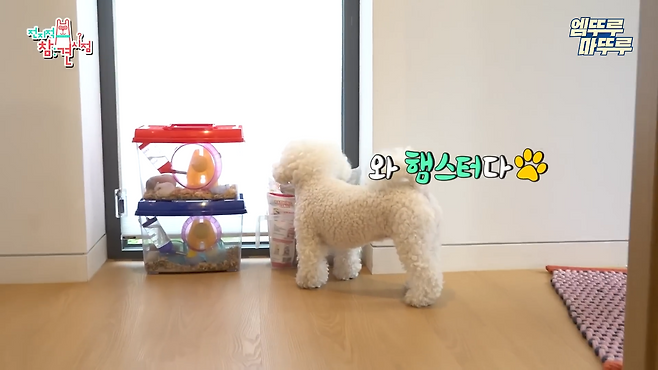 협소한 햄스터 케이지로 한차례 논란이 일었던 배우 류승수. ‘전참시’ 유튜브 캡처