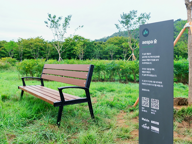 카카오엔터테인먼트