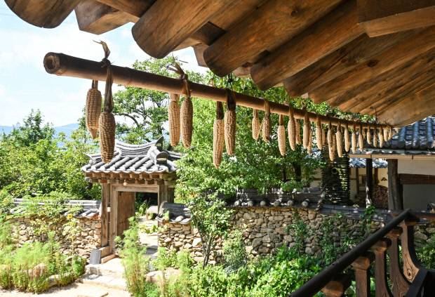 쌍산재 영서당 처마에 매달린 옥수수 풍경이 정겹다. /최현배 기자