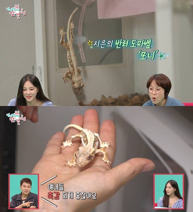 MBC