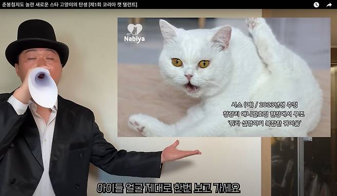 언더월드 송하빈이 최근 업로드한 영상에서 나비야사랑해에서 보호 중인 고양이 입양 홍보를 진행했다(언더월드 채널 갈무리). ⓒ 뉴스1
