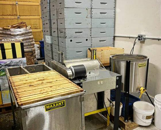 브리티시컬럼비아주 테라스에 있는 러싱 리버 양봉장이 최근 수천 마리의 도둑벌에 공격을 받았다. (출처=크리스틴 맥도널드)