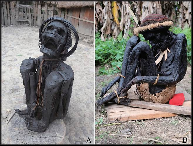 인도네시아 파푸아뉴기니에서 발견된 훈연 미라 사례. 몸을 심하게 구부린 미라(왼쪽)와 몸을 구부린 자세의 미라(오른쪽)./헝