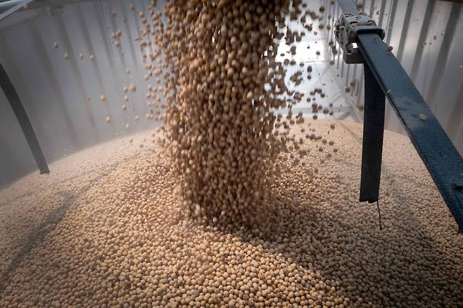지난 1월 미국 일리노이주의 한 농장에서 대두가 트럭에 실리고 있다. /AFP연합뉴스