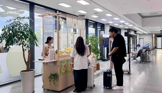 제주곶밭. (한국공항공사 제주공항 제공)