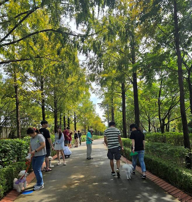반려동물 행동분석 전문기업 브리딩은 지난 14일 서울 강서구 황금내 근린공원 반려견 쉼터에서   '반려견 행동 교정' 프로그램이을 진행했다.