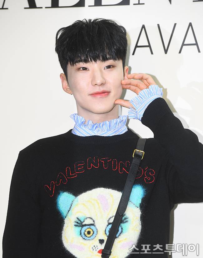 세븐틴 호시 / 사진=DB