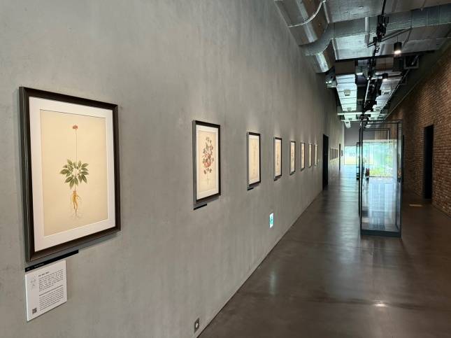 벽에는 원료 그림이 그려져 있고, 자연 원료로 만든 화장품들이 진열돼 있다./사진=김다이 기자 @neverdie