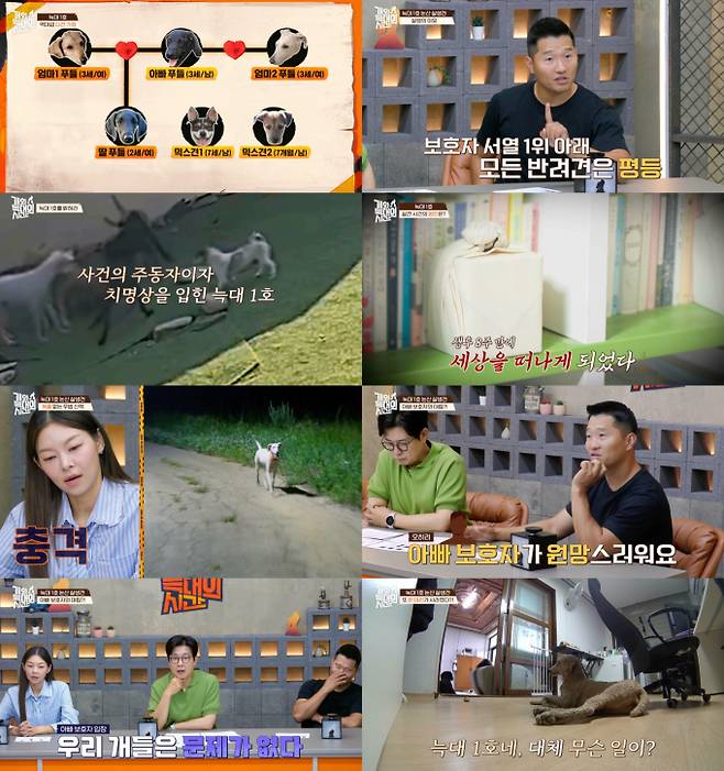 ‘개와늑대의시간’ 논산 살견 사건 (사진: 채널A)