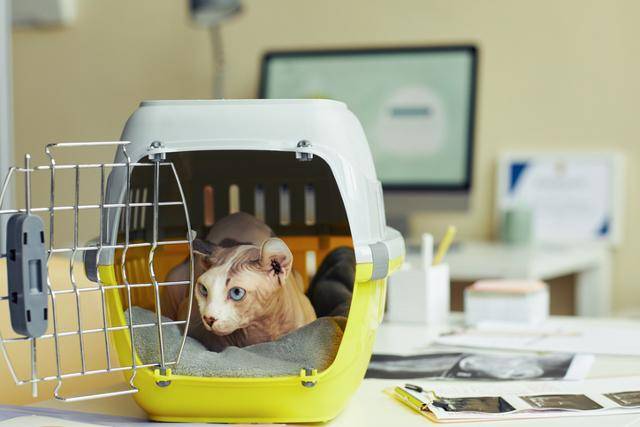 게티이미지뱅크