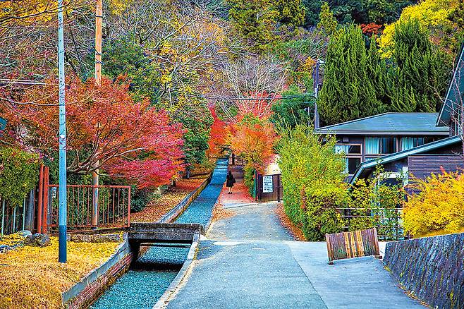 천년고도 교토의 단풍에 물든 철학의 길이 고즈넉한 운치를 자아낸다. /비타투어 제공