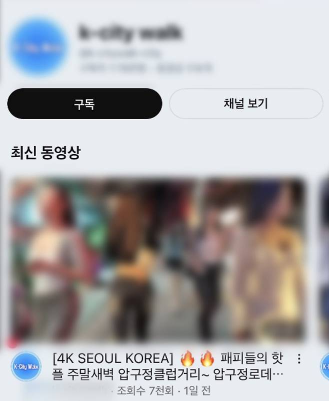 문제가 제기된 유튜브 채널 [유튜브 캡처]