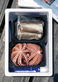 부부가 판매하는 주요 해산물은 달아항 앞바다에서 잡아 올린 바닷장어와 문어다.