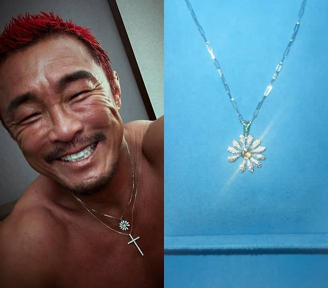 사진=추성훈 SNS