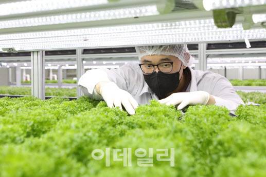 (사진=농심 제공)