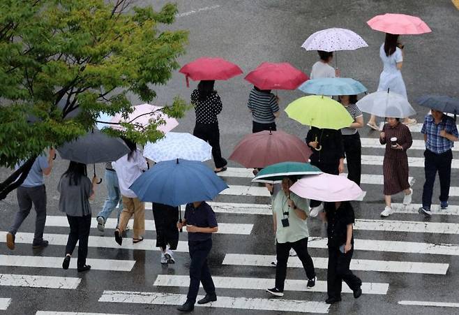 시민들이 내리는 비에 우산을 쓰고 있다. 연합뉴스