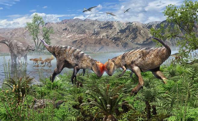 파키케팔로사우루스의 생태를 상상해 그린 그림. 두꺼운 돔형 두개골은 자기 방어 수단이나 짝을 유인하는 데 활용됐을 것으로 추정된다. Masaya Hattori 제공