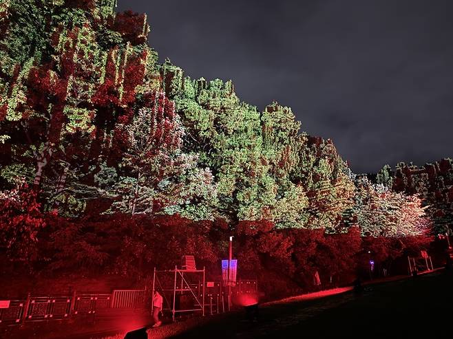 숲 미디어 아트 공연 ‘시네 포레스트: 동화(動花)’ [사진=KAIST]