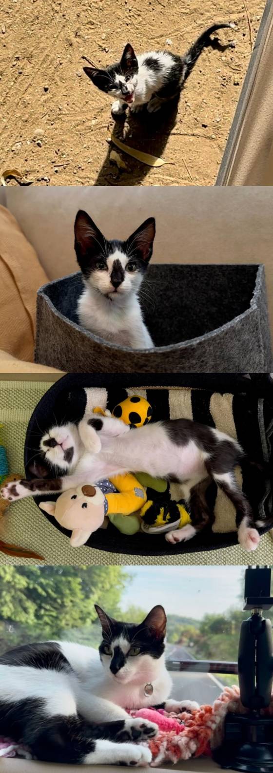 /사진=민지영 SNS