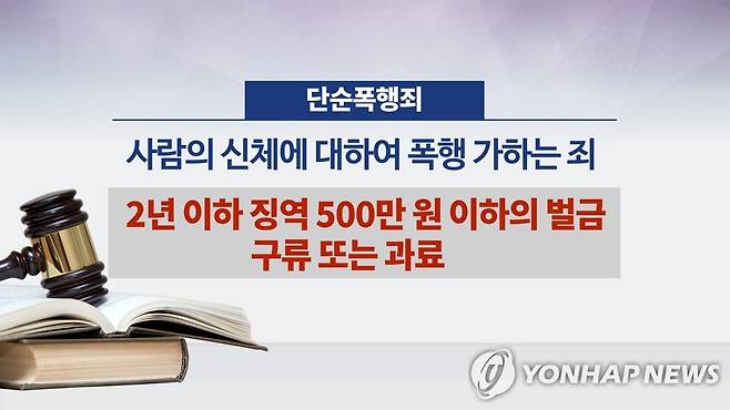 단순폭행죄 (CG) [연합뉴스TV 제공]