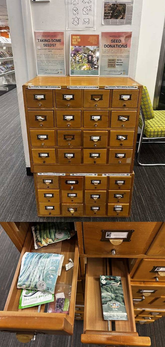 타카푸나 도서관의 씨앗나눔서랍 / 사진=김소은
