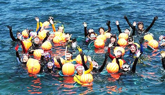 제주해녀의 고령화가 갈수록 심화되면서 현직 해녀 수도 급속히 줄고 있는 것으로 나타났다.
