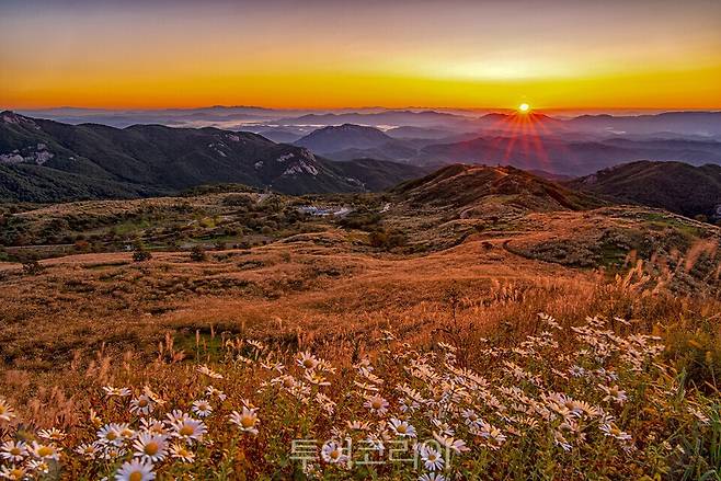 황매산 억새 노을/사진=합천군