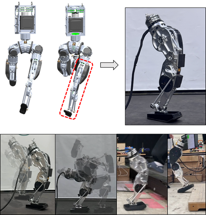 연구 중간 결과물인 '호핑(hopping) 로봇'. 다리 하나로 점프하며 균형을 유지하고 360도 공중제비 등 고난도 동작도 가능하다. KAIST 제공