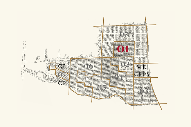 돈 멜초 7개 파셀. 홈페이지