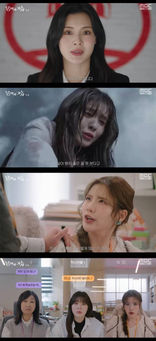 티브이데일리 포토