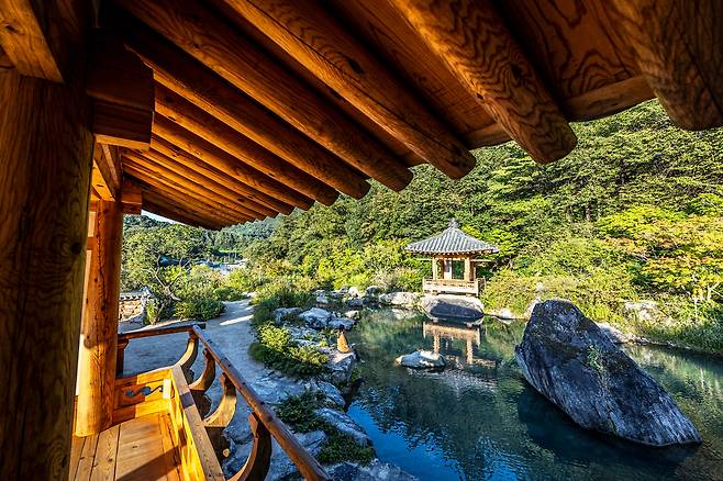 지난 1일 ‘한국 정원’부터 공개한 경기도 양평의 ‘메덩골정원’은 인문학 정원을 내세운다. 두꺼비 형상의 바위와 정자를 원래 그 자리에 있었던 것처럼 자연스럽게 배치한 메덩골정원의 ‘용반연’. 옥빛 연못엔 산천어와 어름치, 다슬기도 보인다. /이신영 영상미디어 기자