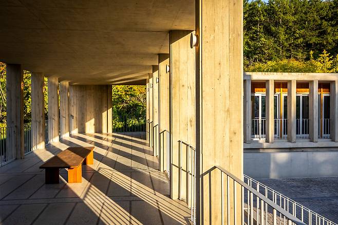 '메덩골정원'의 매력이 드러나는 오후 시간대. 선곡서원의 기둥 사이로 볕이 스며들고 있다. / 이신영 영상미디어 기자