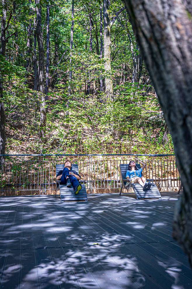 수락 휴의 휴양림 구역에선 삼림욕을 즐길 수 있다. 나무 침대에 앉으면 새소리, 물소리에 마음이 평온해진다. / 이신영 영상미디어 기자