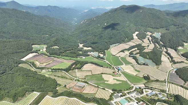 2025년 9월10일 강원도 강릉시 왕산면 암반데기 고랭지 배추밭. 최병성 제공