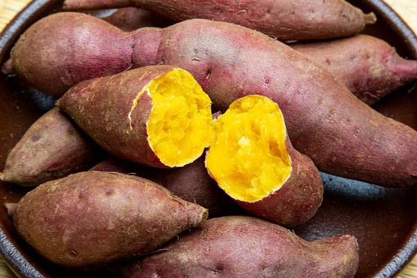 클립아트코리아